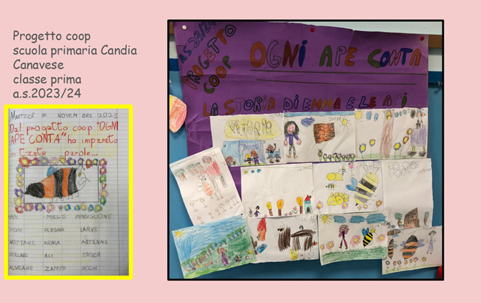 Progetto coop scuola primaria Candia Canavese. sono raffigurati vari disegni fatti da bambini rappresentanti delle api