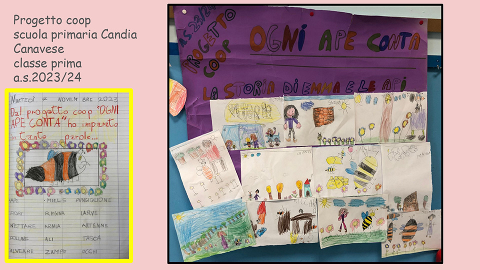 Progetto coop scuola primaria Candia Canavese. sono raffigurati vari disegni fatti da bambini rappresentanti delle api
