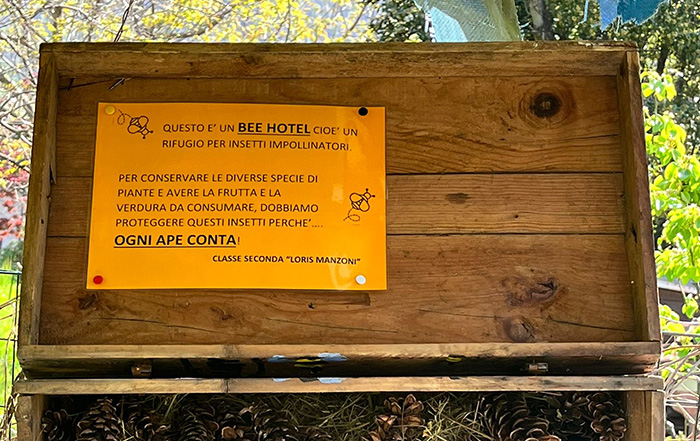 cassetta di legno con scritta